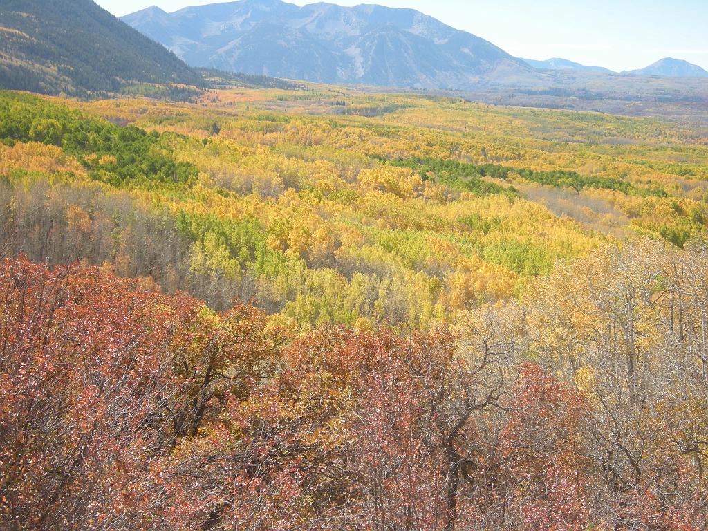 fall09 093